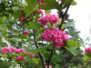 13464664-1170x878.webp@webp